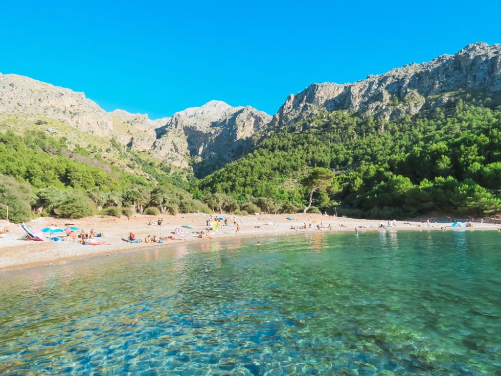 Aerial view of Cala Tuent beach surrounded by Tramuntana mountains

